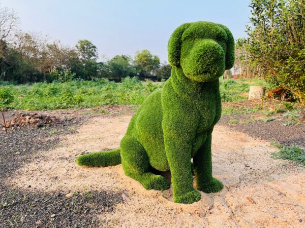 Artificial Grass Labrador Sittting Dog