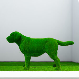 Artificial Grass Labrador Standing Dog