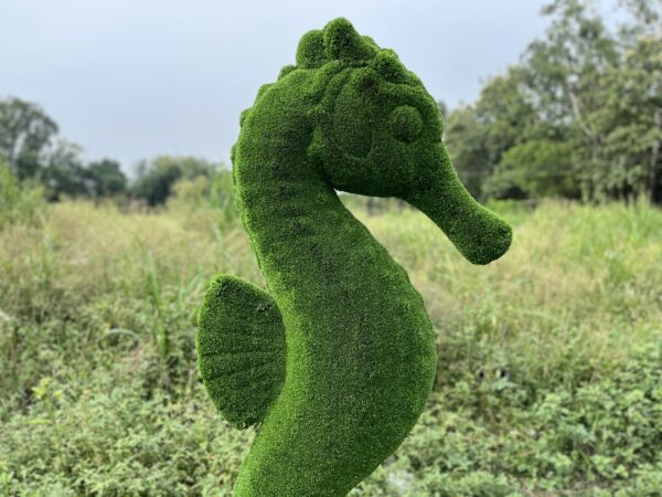 Artificial Grass Sea Horse 3 IMG_7578