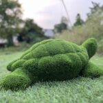 Artificial grass turtle IMG_7700 (1)