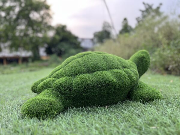 Artificial grass turtle IMG_7700 (1)
