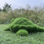 Artificial turf turtle 3 IMG_7693 1