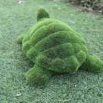 Artificial turf turtle 4 IMG_7696 (1)