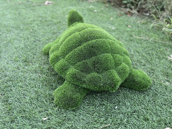 Artificial turf turtle 4 IMG_7696 (1)