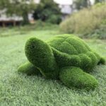 Artificial turf turtle IMG_7687 1