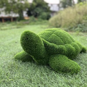 Artificial turf turtle IMG_7687 1