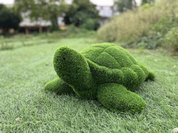 Artificial turf turtle IMG_7687 1 Artificial turf turtle IMG_7687 1