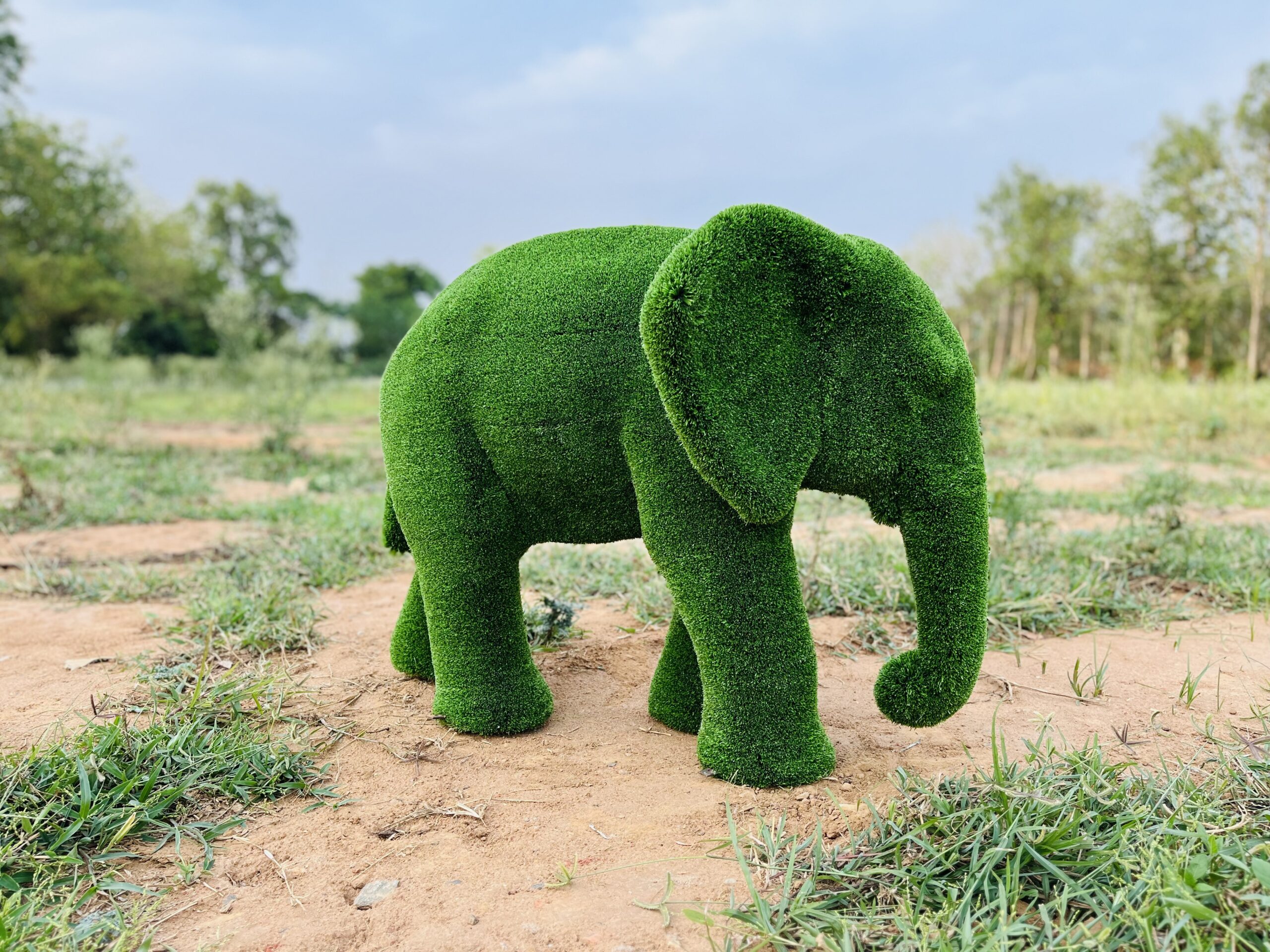Baby African Elephant