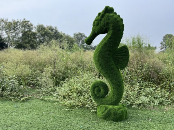 IMG_7572 Artificial Grass Sea Horse 1