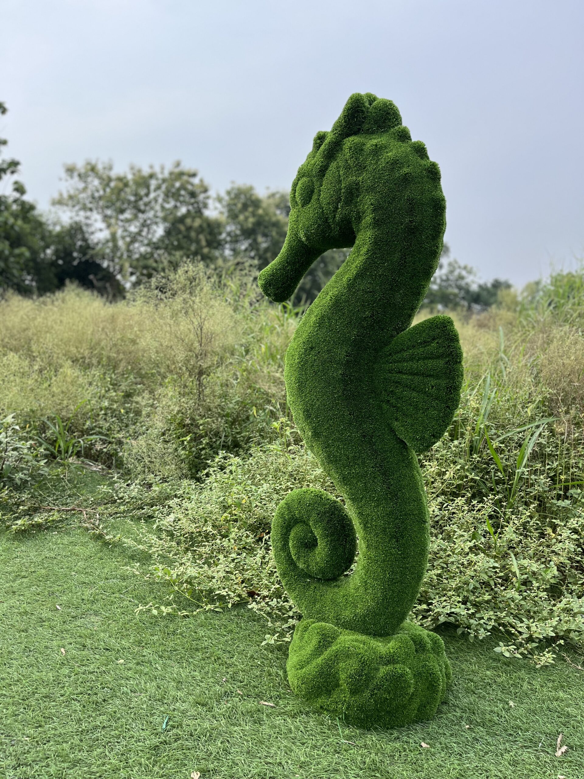 IMG_7573 Artificial grass sea horse 2