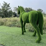 IMG_7633 3 Artificial Grass Standing horse