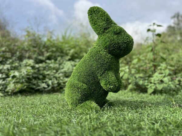 MG_8239 Artificial Grass Rabbit 2