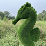 sea horse 4
