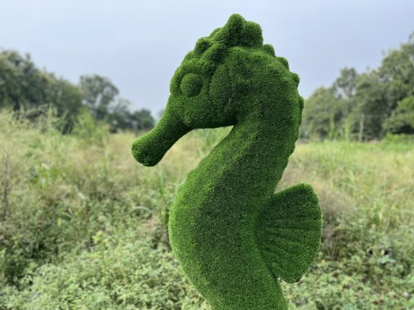 sea horse 4 sea horse 4