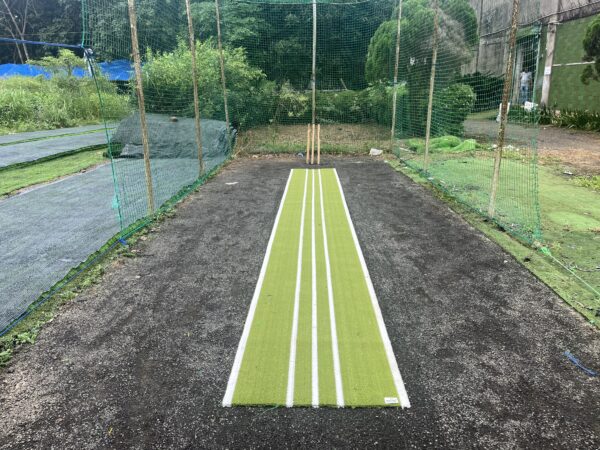 Artificial Grass Cricket Pitch 2.5 feet x 20 feet IMG_4986 (1)