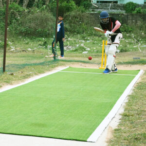 Cricket pitch half