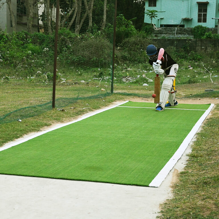 Turf Cricket Pitch Artificial Turf Artificial Grass Revturf