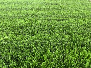 Football Turf IMG_1611