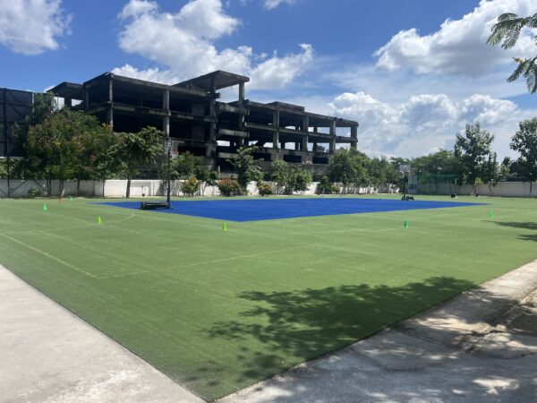 multipurpose turf IMG_4760