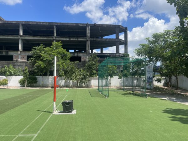 multipurpose turf IMG_4770