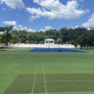 multipurpose turf IMG_4771
