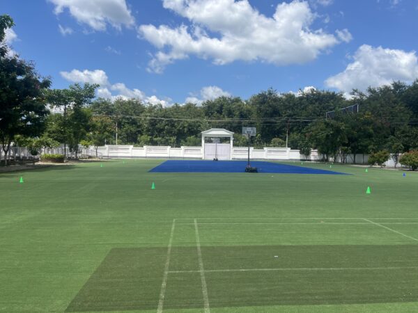 multipurpose turf IMG_4771