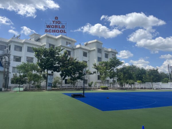 multipurpose turf IMG_4774