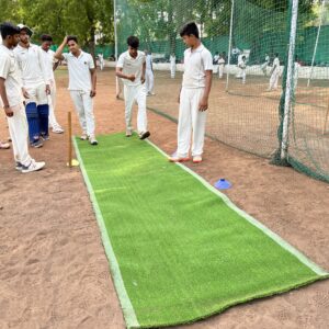 Portable Cricket Pitch