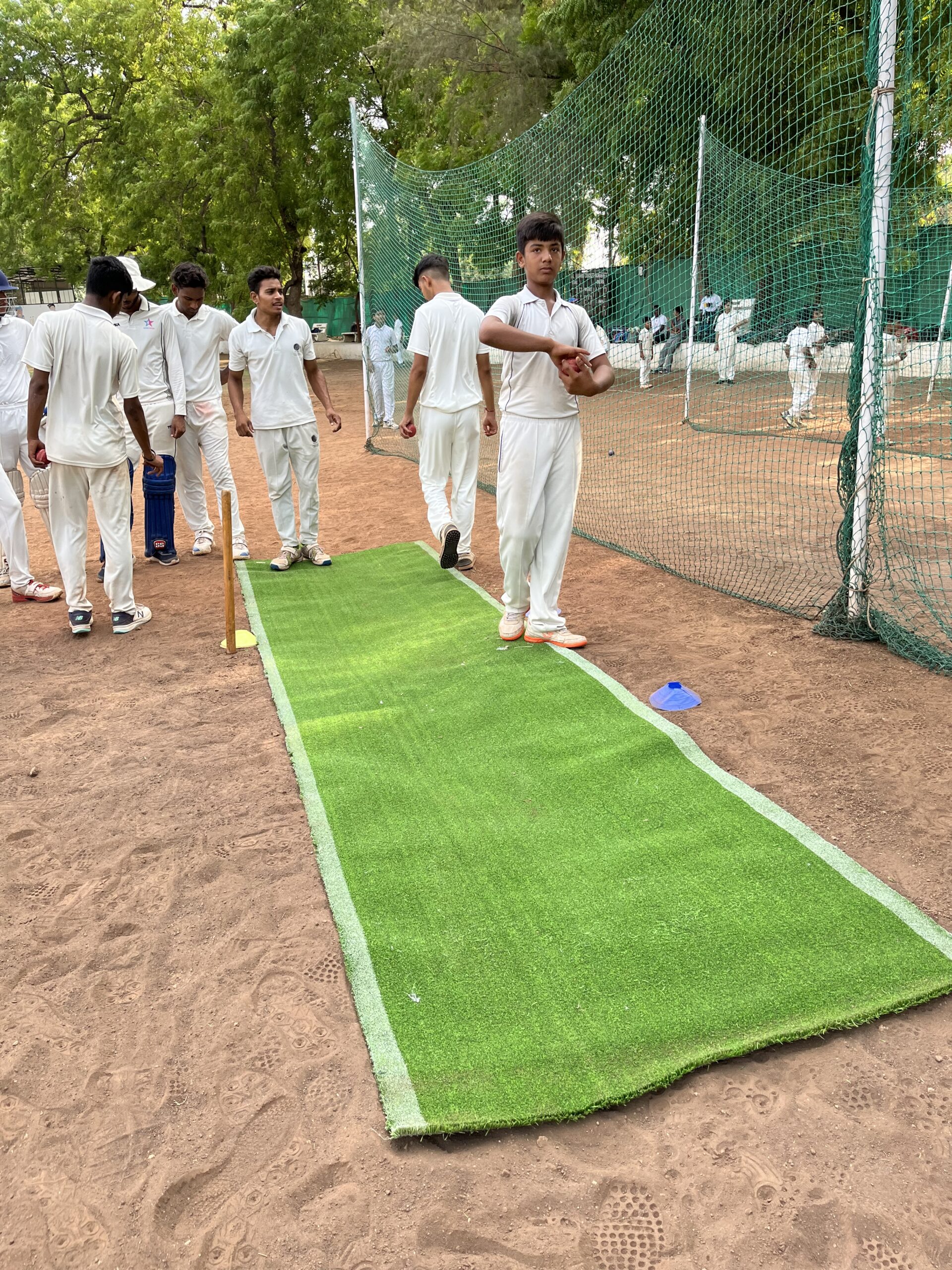 Budget Cricket Pitch