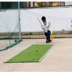 Portable cricket pitch