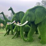 Elephant Topiary 5 IMG_3334