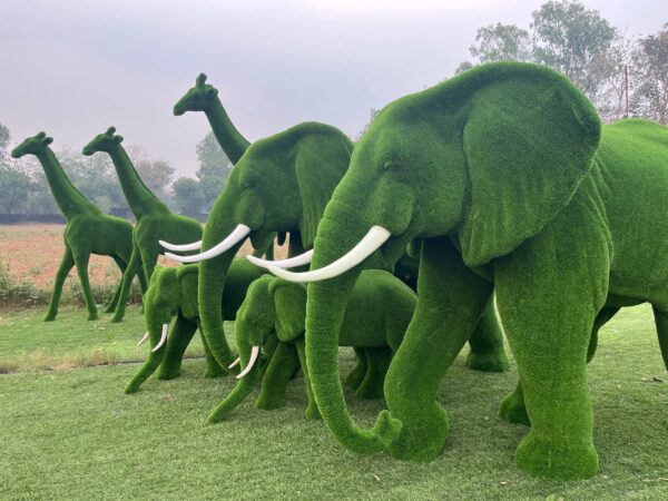 Elephant Topiary 5 IMG_3334