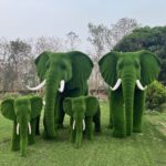Elephant topiary 1 IMG_3331