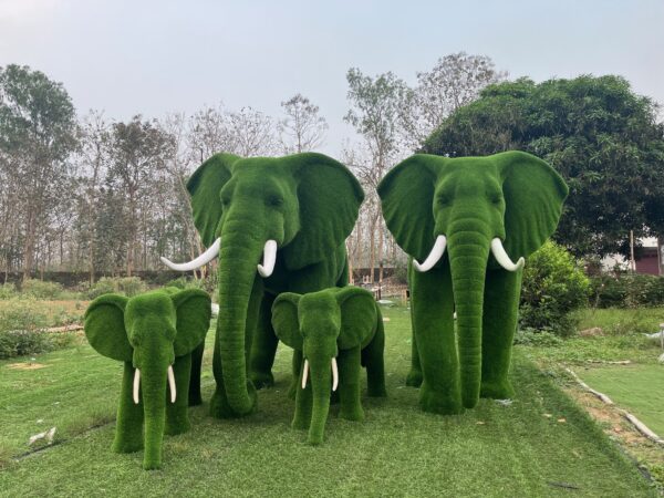 Elephant topiary 1 IMG_3331