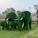 Elephant topiary 3 IMG_3332 (1)
