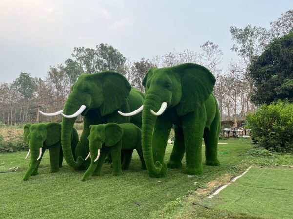 Elephant topiary 3 IMG_3332 (1)
