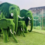 Elephant topiary 3 IMG_3332 (2)