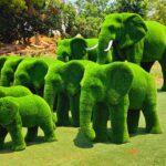 Elephant Topiary