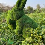 Large Rabbit Topiary