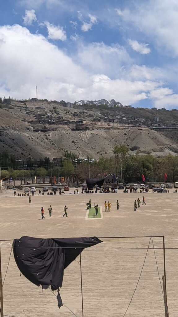 Cricket Mat Artificial Turf Artificial Grass Revturf