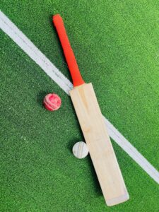 instant cricket pitch mat