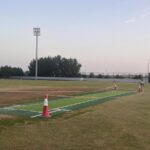 Qatar Turf Pitch