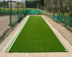 Turf Wicket 2