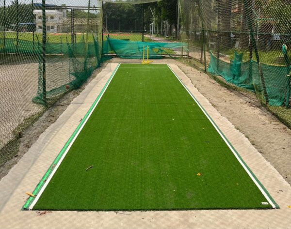 Turf Wicket 2