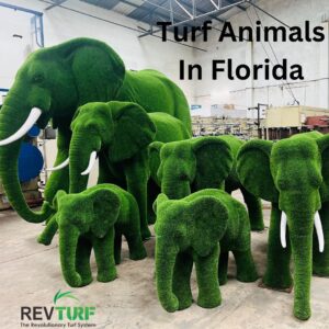Turf Animals In Florida