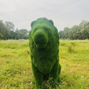 Artificial Grass Sitting Lion 2IMG_7364