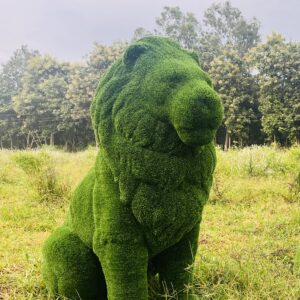 Artificial Grass Sitting Lion 4IMG_7360