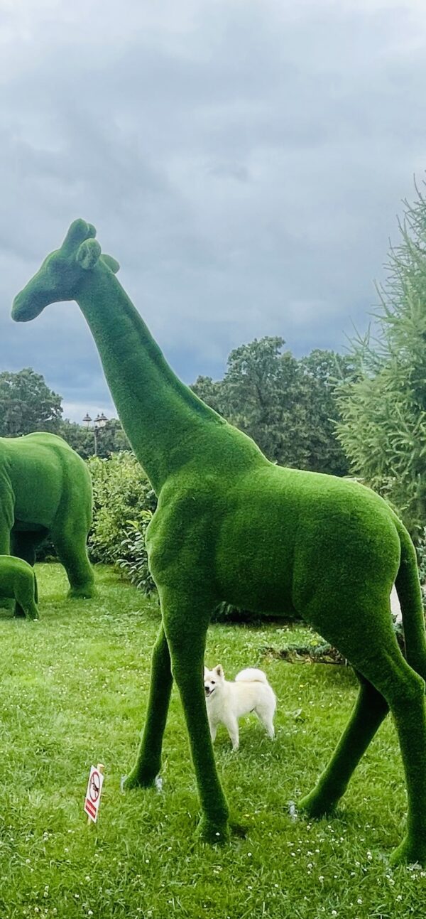 Artificial grass small giraffe fa8b575afdeb