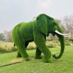 Artificial Grass Large African Elephant 3 IMG_3355