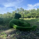 Artificial Grass Sitting Lioness Lying Down IMG_6988